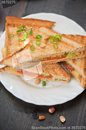 Image of Cheese tasty sandwich