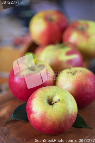 Image of harvest of apples