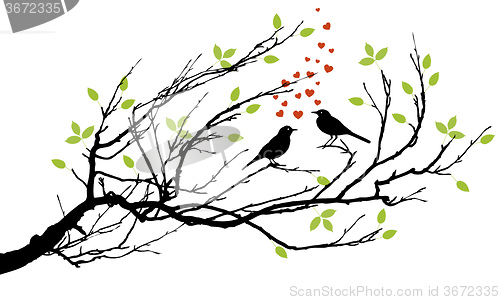 Image of two birds in love