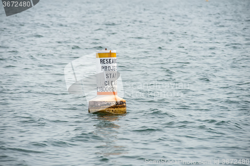 Image of research project buoy stay clear in water