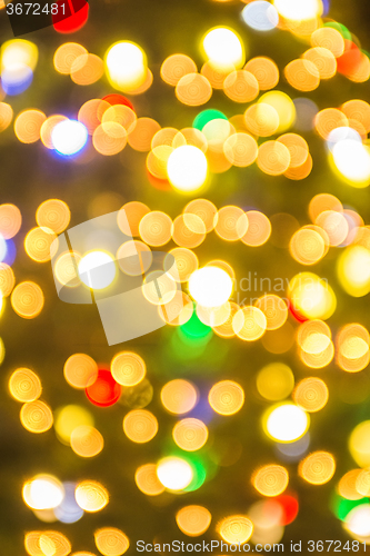 Image of defocused christmas tree lights in a city background