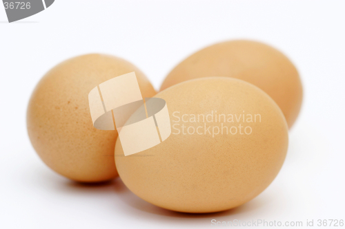 Image of Just Three Eggs