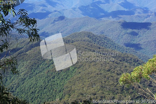 Image of two forests merging