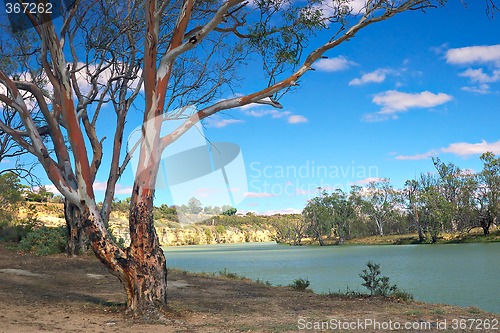 Image of murray river