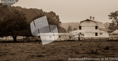Image of landscape view of a cow farm ranch in fog