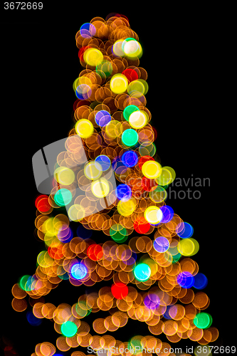 Image of defocused christmas tree lights in a city background