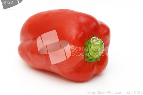 Image of Red Pepper