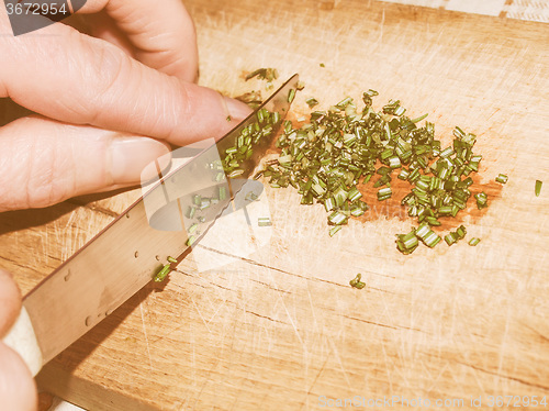 Image of Retro looking Cutting rosemary