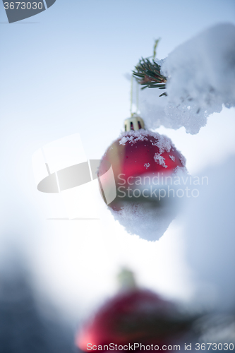 Image of christmas balls on pine tree