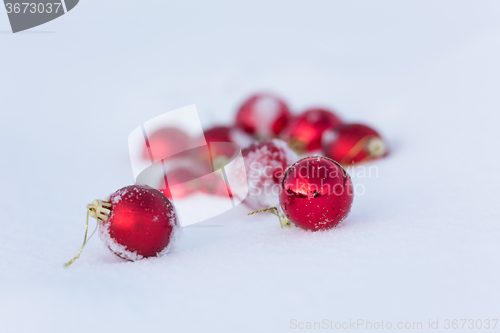 Image of red christmas balls in fresh snow