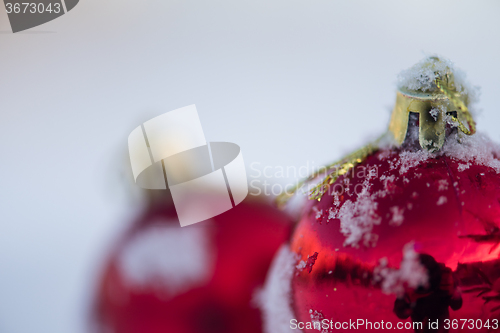 Image of christmas balls on pine tree