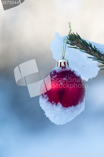 Image of christmas balls on pine tree