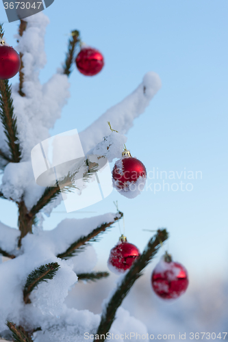 Image of christmas balls on pine tree