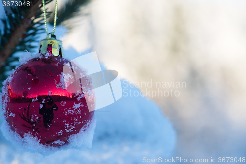 Image of christmas balls on pine tree