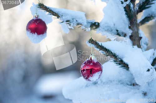 Image of christmas balls on pine tree