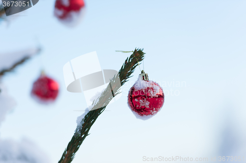 Image of christmas balls on pine tree