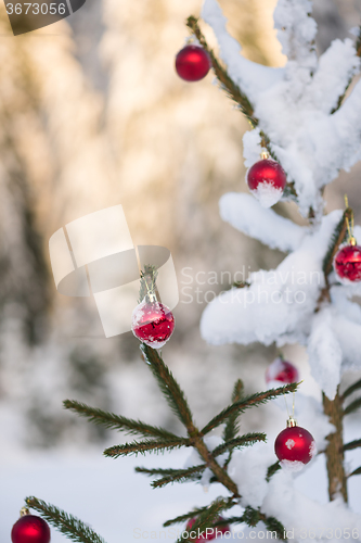 Image of christmas balls on pine tree