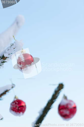 Image of christmas balls on pine tree