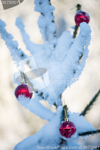 Image of christmas balls on pine tree