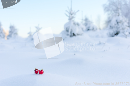 Image of red christmas balls in fresh snow