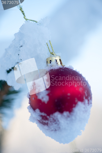 Image of christmas balls on pine tree