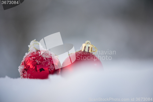 Image of red christmas balls in fresh snow