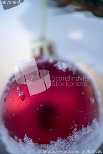 Image of christmas balls on pine tree