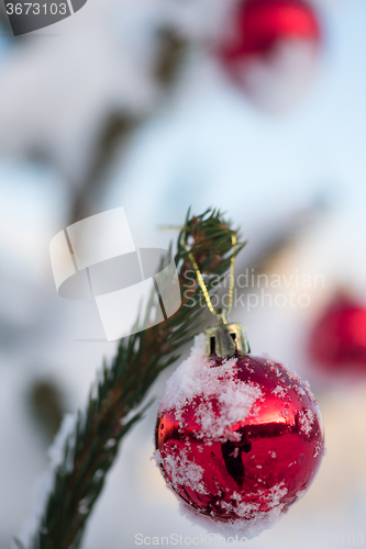 Image of christmas balls on pine tree