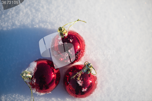 Image of red christmas ball in fresh snow