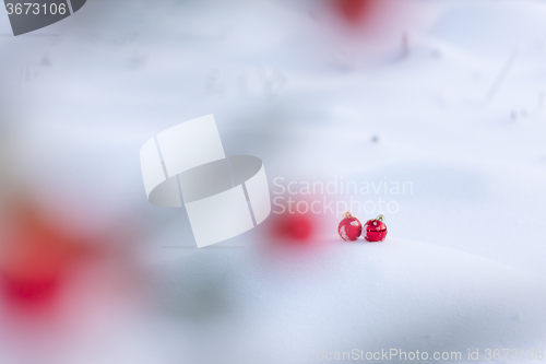 Image of red christmas balls in fresh snow