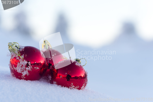 Image of red christmas ball in fresh snow