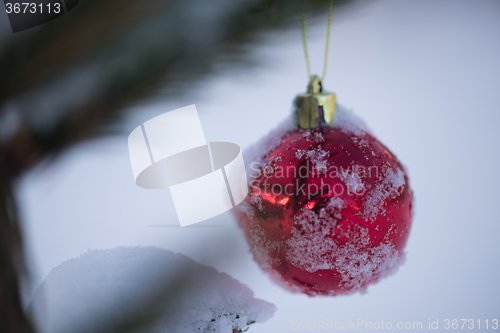 Image of red christmas balls in fresh snow