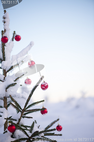 Image of christmas balls on pine tree