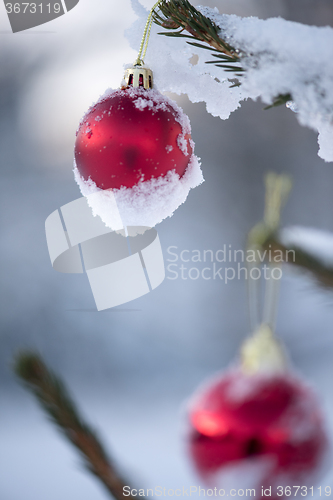 Image of christmas balls on pine tree