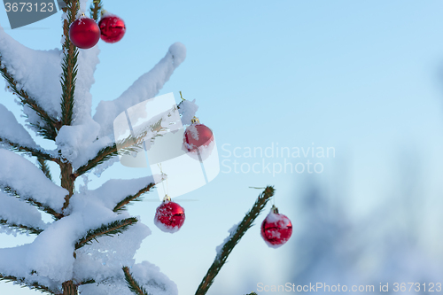 Image of christmas balls on pine tree