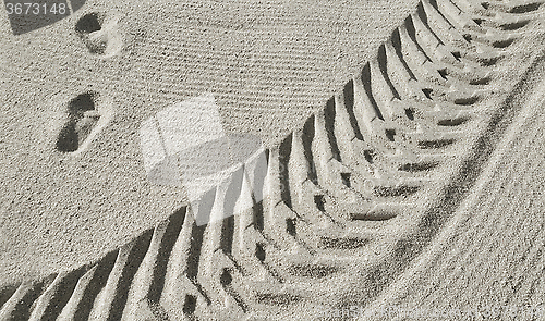 Image of Traces on the beach sand