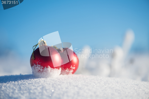 Image of red christmas ball in fresh snow