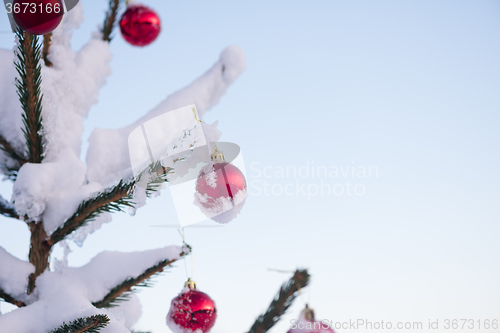 Image of christmas balls on pine tree