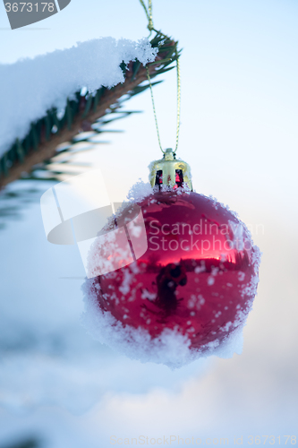 Image of christmas balls on pine tree