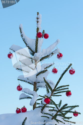 Image of christmas balls on pine tree