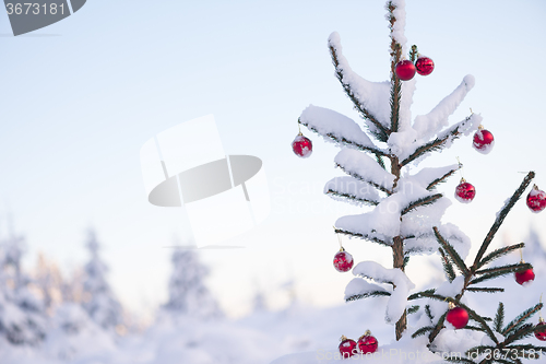 Image of christmas balls on pine tree