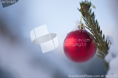 Image of christmas balls on pine tree