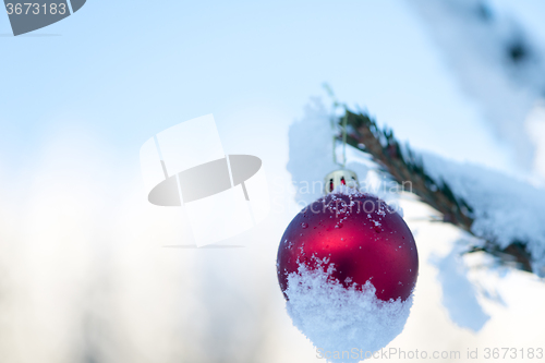 Image of christmas balls on pine tree