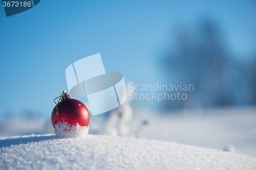 Image of red christmas ball in fresh snow