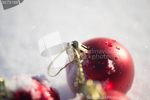 Image of red christmas ball in fresh snow