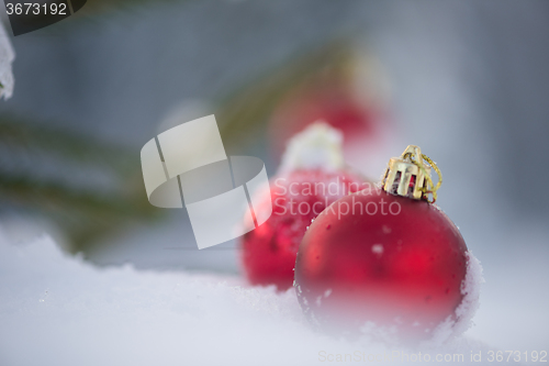 Image of red christmas balls in fresh snow