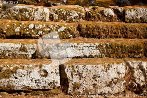 Image of pine needles    ruins stone and theatre in  antalya  arykanda tu