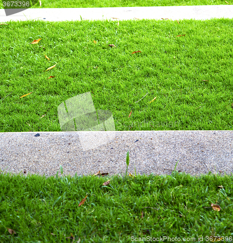 Image of thailand asia    grass in the temple  bangkok  