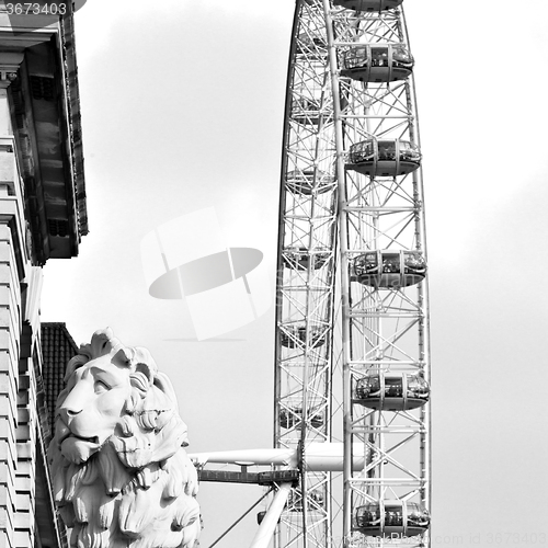 Image of lion  london eye in the spring sky and white clouds