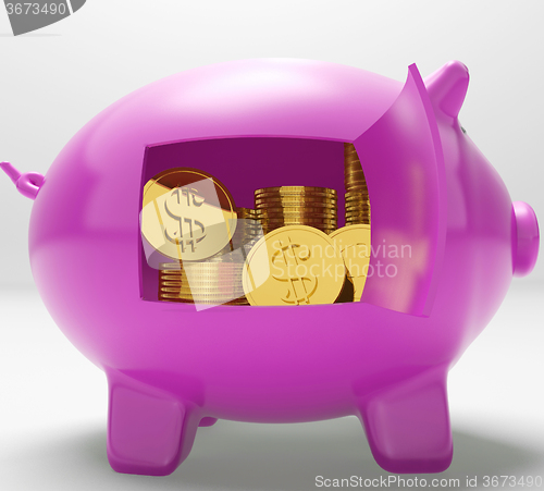 Image of Dollar Coins Piggy Shows Prosperity And Security